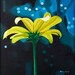 Yellow Daisy Wonder- Fine Art Print