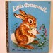 SALE 20% OFF, Vintage Little Cottontail, 1970s A Little Golden Book