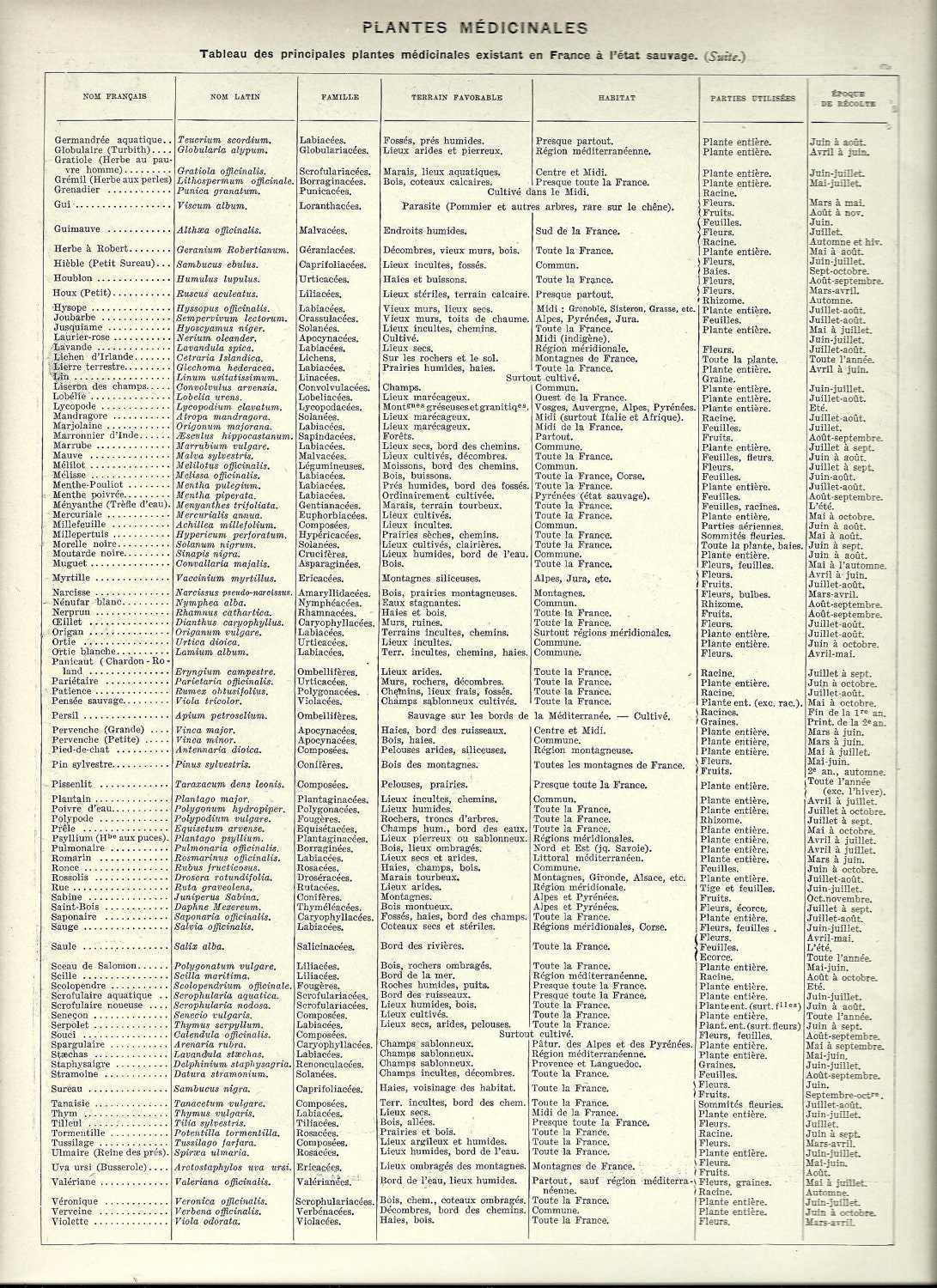 Healing MEDICINAL PLANTS Herbs 2 Vintage French Dictionary