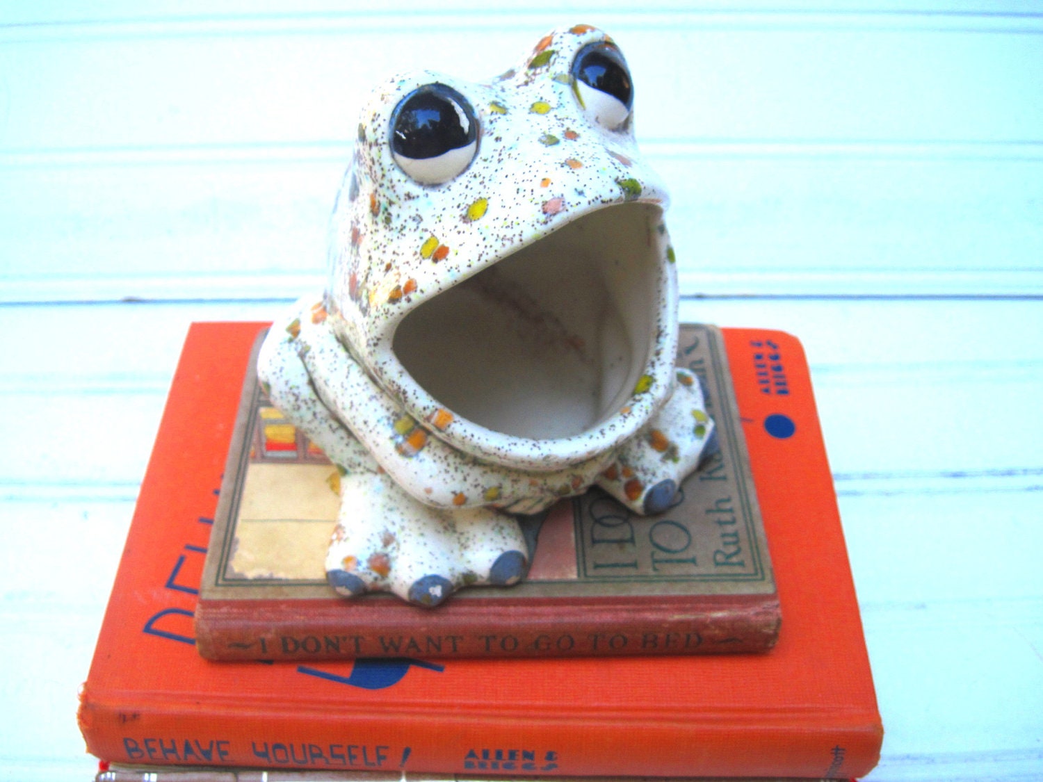 frog sponge holder kitchen sink