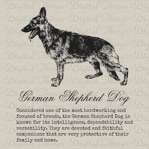 German Shepherd Dog Definition Description Printable Digital