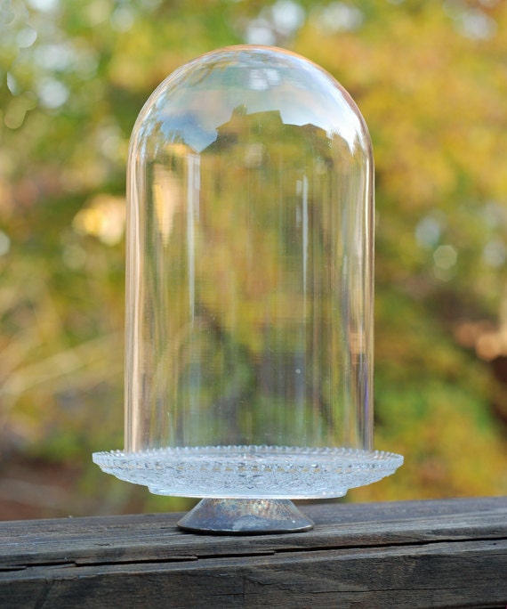 Vintage Tall Glass Dome Cloche with Decorative Glass Pedestal