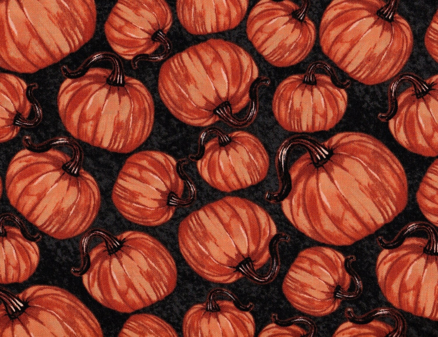 Pumpkins Harvest Fabric Pumpkin Fabric Autumn Fabric
