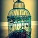 Turquoise Bird Cage Decorative Piece or Wedding Card Holder 20" tall x 31.5" around-Wedding Card Box