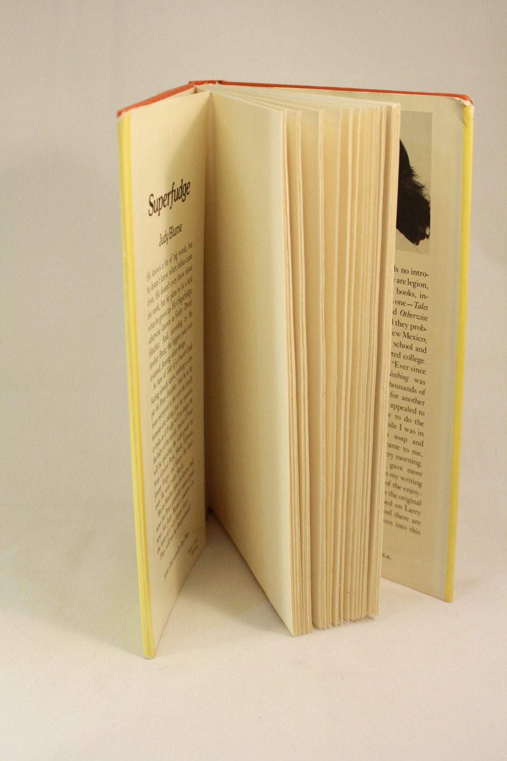 Vintage Book Superfudge by Judy Blume