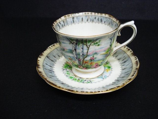 Spectacular Vintage Cup and Saucer Set Silver Birch by Royal Albert ...