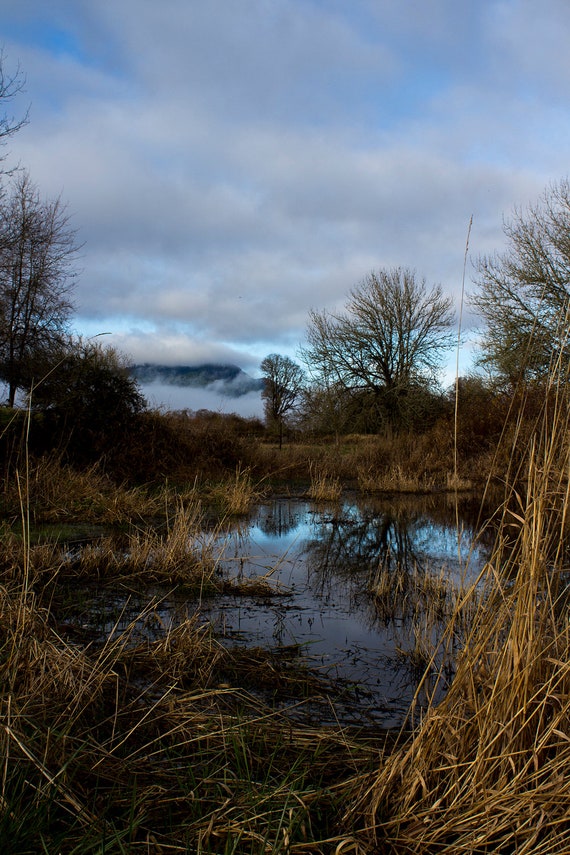 Cloudy Pond