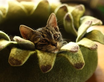 Cat bed/cat house/cat cave/ houseleek felted cat bed