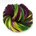 Hand Dyed Thick-n-Thin Merino Wool Yarn - Mardi Gras