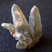 Tibetan Green Tourmilated Crystal Quartz Cluster, Natural and Untreated, 50 grams,