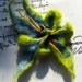 Felted flower brooch - half closed - shades of blue and green