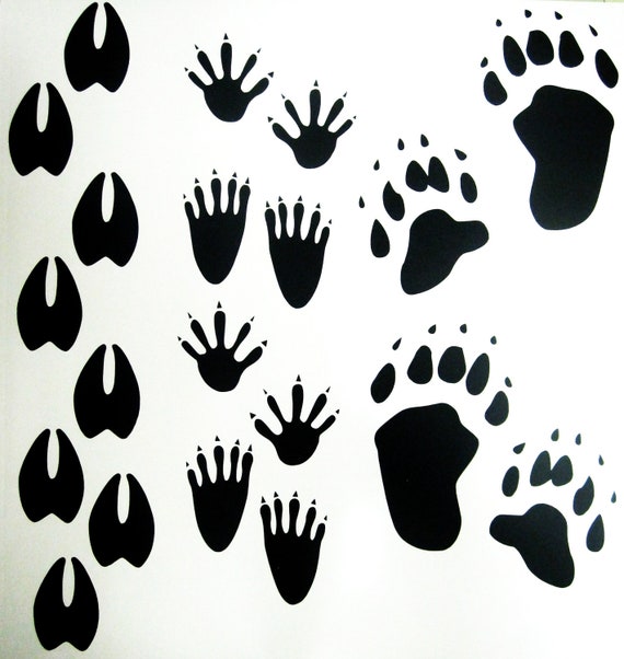 Items similar to Bear, Deer and Raccoon Tracks Vinyl Wall Decal Sheet