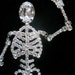Insanely Wonderful Rhinestone Moveable Skeleton Brooch