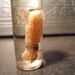 TINY Pink Baby Squid Wet Specimen in 2 Dram Vial Jar 6