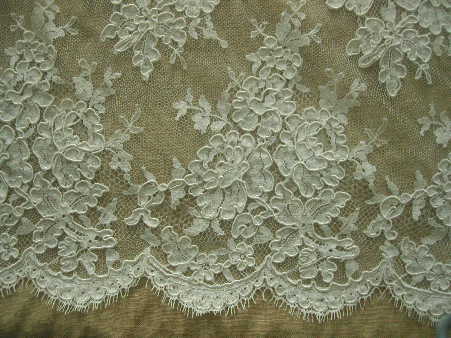 French Alencon Reembroidered Lace almost 2/3 yard