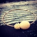 14kt Gold Filled Ivory Pineapple Bangle