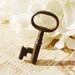Antique Skeleton Key, Small Tiny Key, Dark Rusty Aged PATINA Metal, 1800s Victorian, Steampunk Bracelet Charm, Housewares Decor