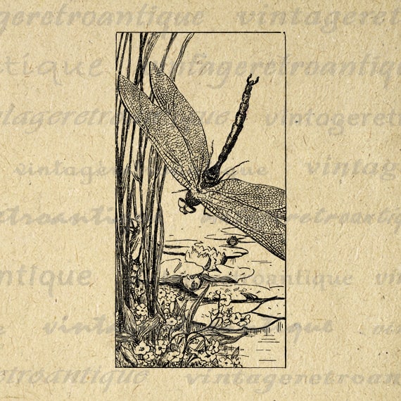 Printable Image Dragonfly Digital Graphic by ...