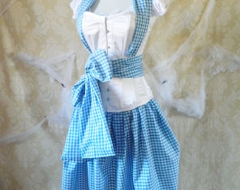 Dorothy/Wizard Of Oz Corset Outfit-Whole Corset Outfit-Made For Buyer