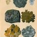 Antique Print Metals: Gold Silver Platinum Mercury Copper Tin Lead 1920s Mineral Geology
