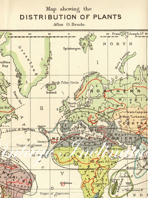 1890s Antique World Map Of The World 1900s Atlas Regions Map Green Blue ...