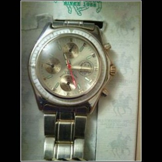 hollywood polo watch price