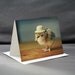 Greeting Card Chick in Straw Hat Folded Photo Note Card With Envelope (1) Chicken Card