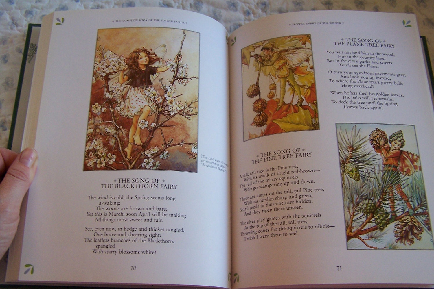 the complete book of the flower fairies book buy