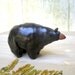 Woodland Walnut Black Bear Stoneware Sculpture, Made to Order