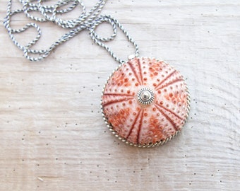 Pink Sea Urchin Necklace Sterling Silver Necklace Beach Jewelry, Natural Sea Treasure