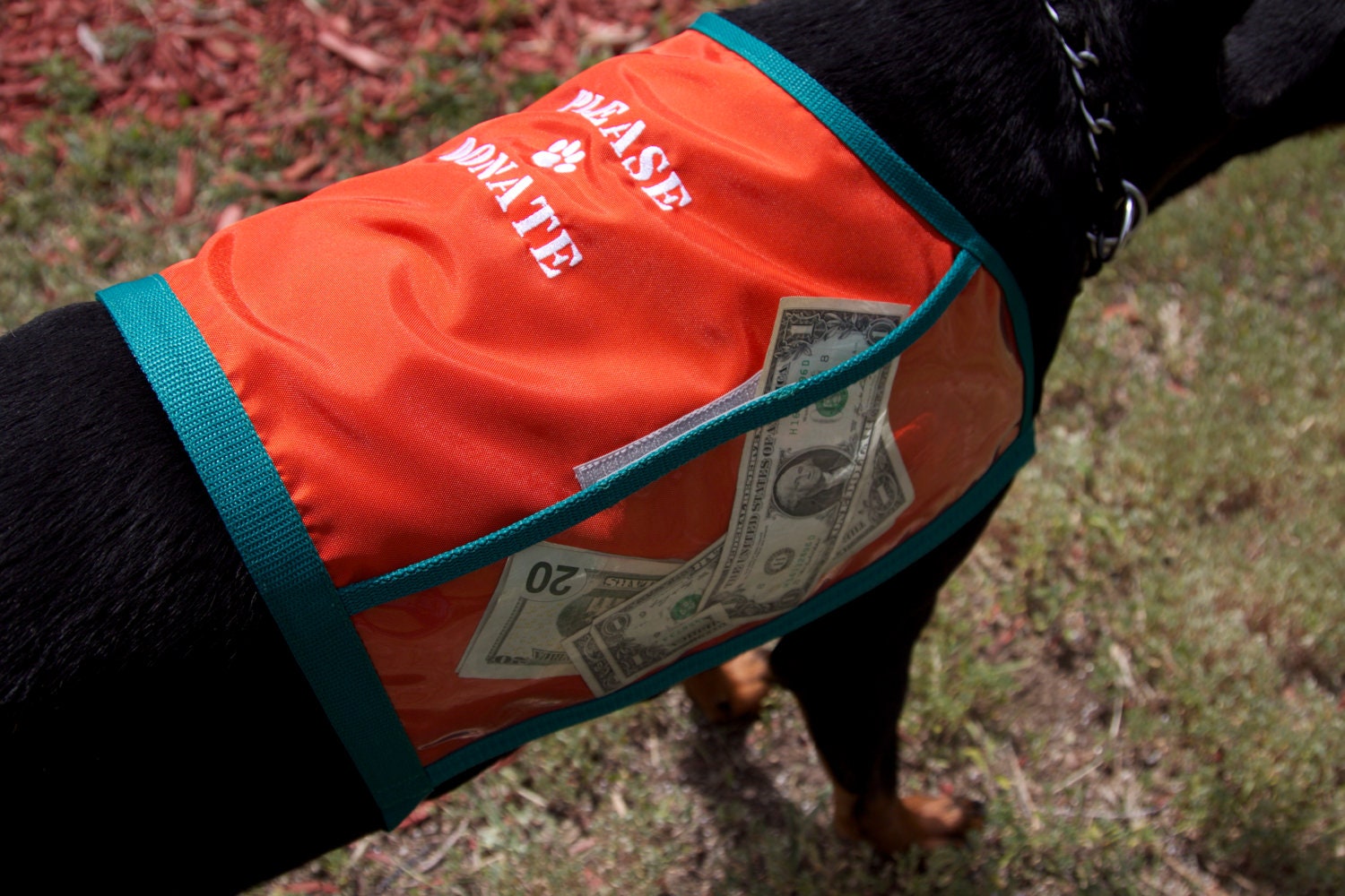 Customizable FUNDRAISER DOG VEST with large pockets for