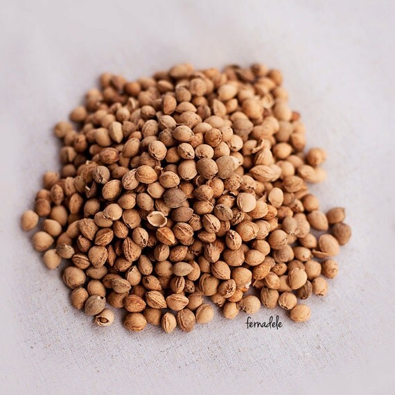 Cherry Pits 1.5lb Dried Great filler for heating pads