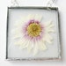 pink and purple flower necklace - real flower - necklace - pendant - silver - glass - long - statement - long - large