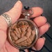 OOaK Pocketwatch Homunculus Oddfae Fairy