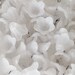 20 Pc 10.5mm White Dyable Frosted Bell Flower Beads
