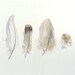 Art Painting Original Watercolor Bird Feathers Women Men Nature Woodlands Neutral Colors Nature White Grey Dorm 9.6 x 12.6 Under 70 USD