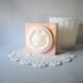 Vintage Powder Box Pink Plastic Art Nouveau Evyan White Shoulders Boudoir Hollywood Glamor