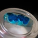 Blue Dot Chrysocolla Cabochon From the Ray Mine Arizona