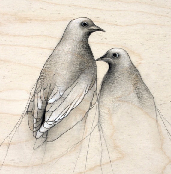 Simple Pigeon Sketch Drawing 