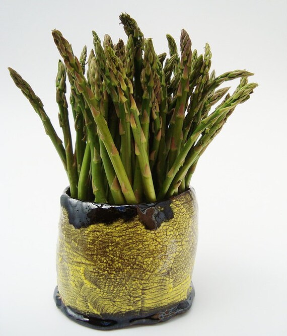 Asparagus Keeper Utensil Holder Rustic Primitive Pottery