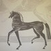 RESERVED Vintage Tablecloth All the Pretty Horses