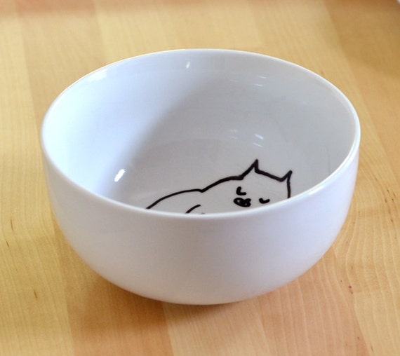 Cat Bowl Sleeping Cat
