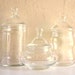 Apothecary Jar Trio with Lids Curvy Glass Bubble Jars