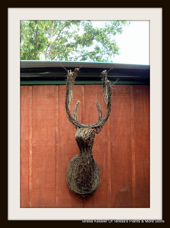 6 point buckLifesize Grapevine Deer statue Wall hangerCabin