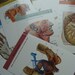 One Dozen Awesome Anatomical Medical Study Anatomy Flash Cards