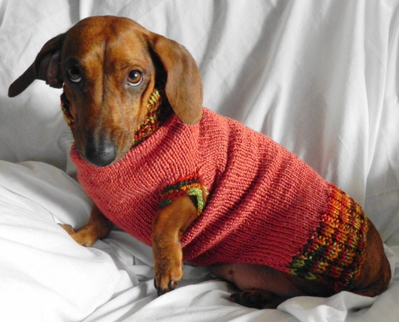 Miniature DACHSHUND Turtleneck Sweater by DachshundSweaters