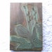 Vintage Stamp Japanese Postcard Flowers Leaves Flower Petals