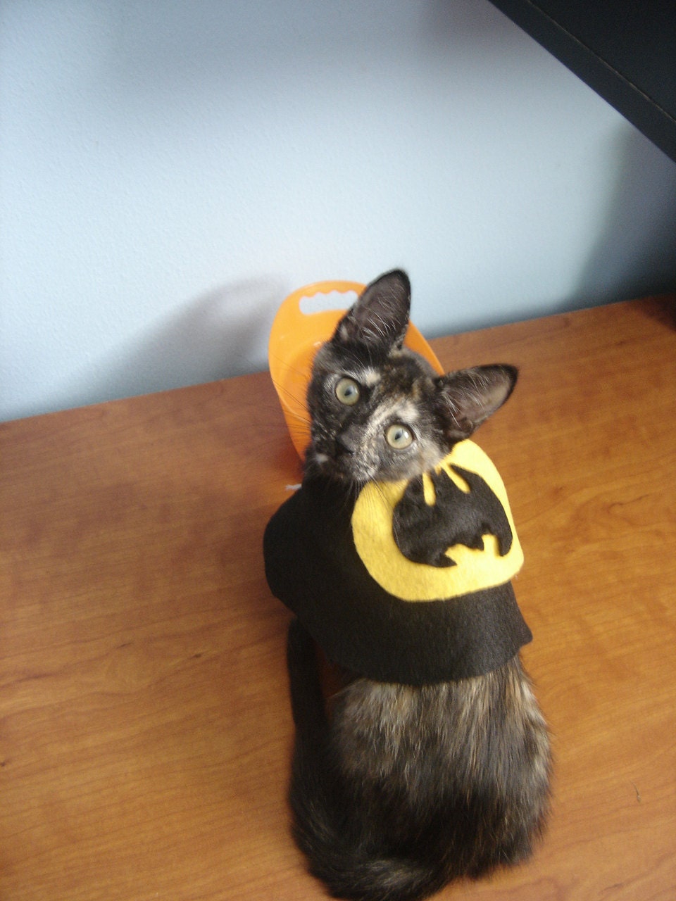 Batman Cat Cape Halloween Cat Costume Made to order by demivida