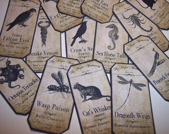Steampunk Animal Magic Apothecary Labels Set of 15