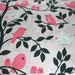 Michael Miller Tweetie Pie in Pink 1 yard